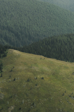 Animal Trail along Ridge