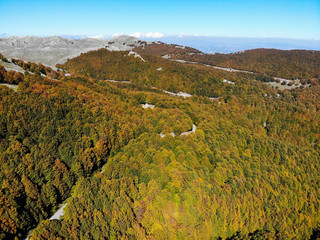 autumn landscape of woods and mountains of the Molise region in Italy, aerial shot