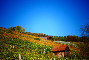 Fototapeta na wymiar Weingartenhütte