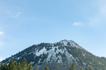 A closeup of the treelined peak of Mount Shasta in California on a sunny, blue sky day
