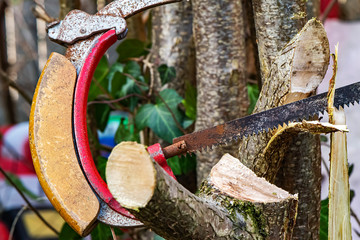 Detail of a saw cutting a young tree for the garden care. The focus is on the saw.