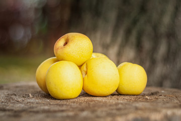 Heap of fresh ripe quince fruit on an old tree stump. Shallow depth of field.