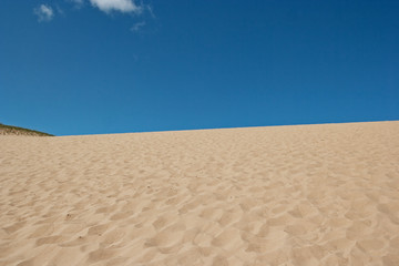 Michigan sand dunes