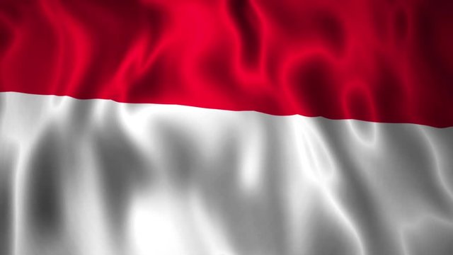 Full HD animation waving International flag Monaco.