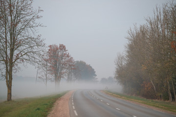 Fototapeta premium foggy autumn morning