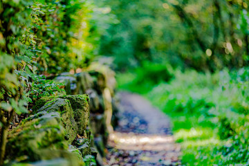 Rocks with moss on a stone fence on a path, blurred background