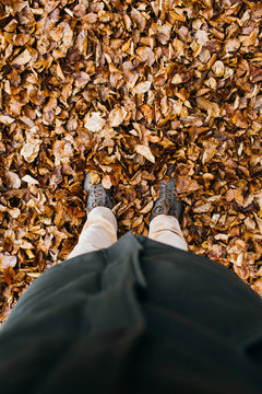 Feet sink into dry leaves.