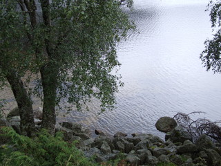 Fototapeta na wymiar the Pacific coast of the fjord , the water, rocks and greenery