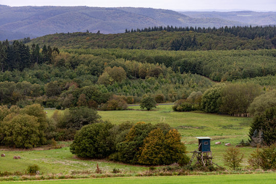 Landschaft nahe Briedel an der Mosel in Rheinland-Pfalz, Deutschland