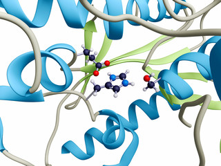 The active site of the enzyme acetylcholine esterase - obrazy, fototapety, plakaty
