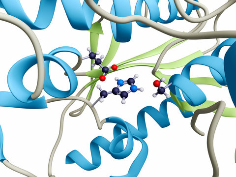 The active site of the enzyme acetylcholine esterase