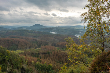 Waldsterben in der sächsischen und böhmischen Schweiz