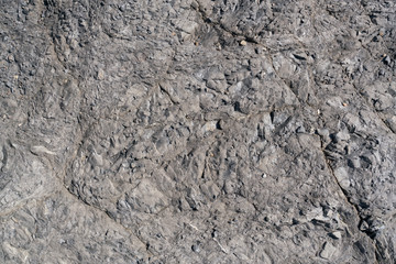 gray stone texture closeup