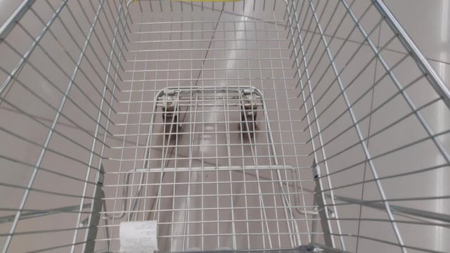 Carry an empty cart at the supermarket.