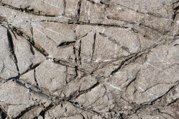 cracked stone texture