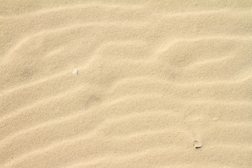 Rippled sand on the sea coast formed by wind and water, background, texture, pattern