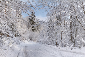 Winter landscape - view of the snowy road in the winter mountain forest after snowfall