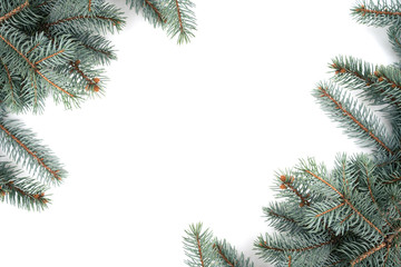 angled pine bows