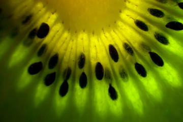 Kiwi fruit close-up. Texture, background