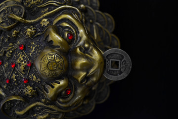 Obraz premium Money toad on black backround