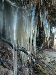 picture with frozen icicles and tree roots