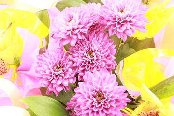 bouquet of colorful flowers