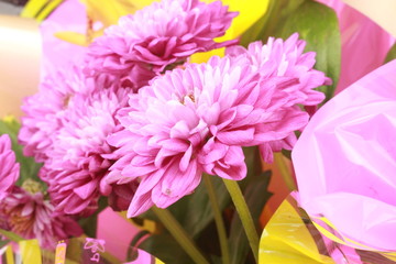 Bouquet of pink flowers.