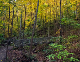 Bridge in the Cuyahoga Valley National Park