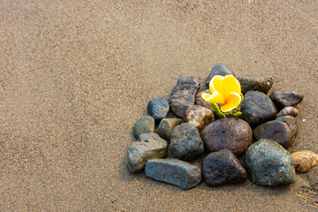 Spa - Natural Alternative Therapy With Massage Stones And Waterlily In Water