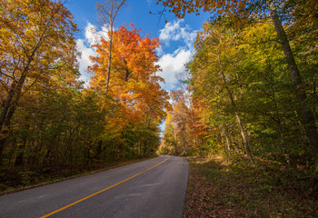 Autumn Colors in Virginia Kendall