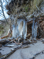 picture with frozen icicles and tree roots