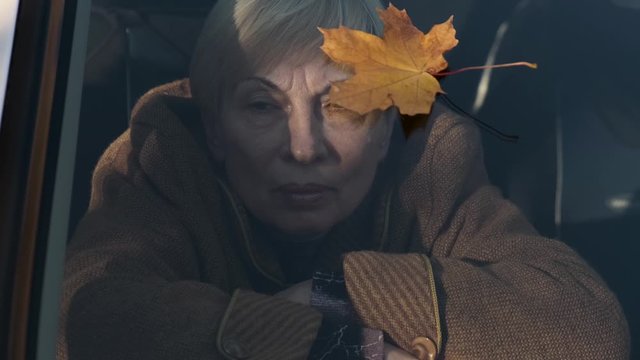 Elderly woman in a car watching the leaves fall on the glass
