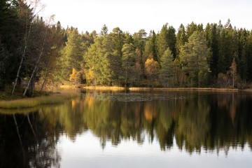 Fototapeta na wymiar colorful Symmetrical reflection of forest by the lake in autumn
