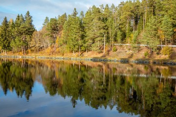 Symmetrical reflection of forest by the lake in autumn with blue sky