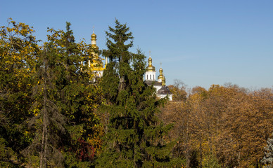 church among the trees