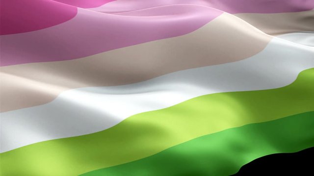 Neutrois Woman Bigender Flag Rainbow waving. 3d Non binary Pride Symbol flag waving Isolated. Sign of Rainbow seamless loop animation. Neutrois Woman Bigender flag HD resolution Background. LGBT right