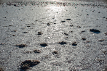 Salt lake Crimea autumn. autumn in the Crimea. Salt and texture. Salt crystal.