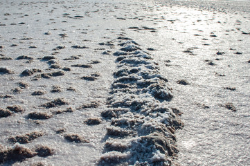 Salt lake Crimea autumn. autumn in the Crimea. Salt and texture. Salt crystal.