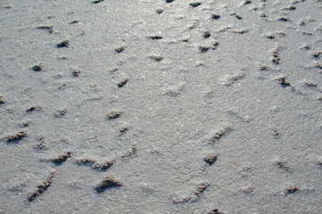 Salt lake Crimea autumn. autumn in the Crimea. Salt and texture. Salt crystal.
