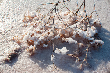 Salt lake Crimea autumn. autumn in the Crimea. Salt and texture. Salt crystal.