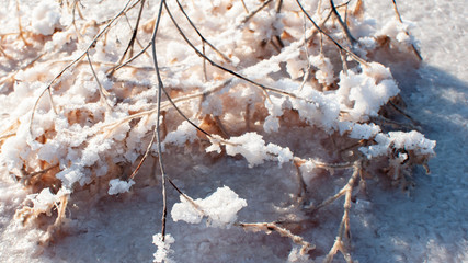 Salt lake Crimea autumn. autumn in the Crimea. Salt and texture. Salt crystal.