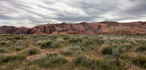 Snow Canyon in Utah