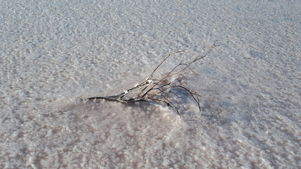 Salt lake Crimea autumn. autumn in the Crimea. Salt and texture. Salt crystal.