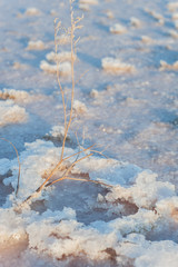 Salt lake Crimea autumn. autumn in the Crimea. Salt and texture. Salt crystal.