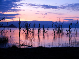 Lake Nakuru National Park - obrazy, fototapety, plakaty