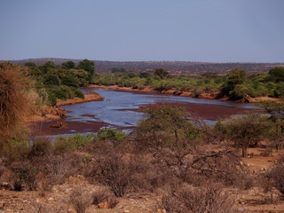 Samburu National Reserve, Kenya