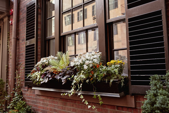 Detail of brownstone exterior with floral planters against a window in the historic neighborhood of Beacon Hill in Boston, Massachusetts.