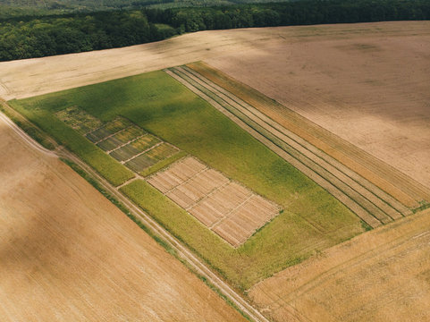 Experimental wheat fields seen from high above