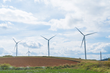 Wind turbines in the meadow