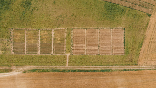 Test fields seen directly from above